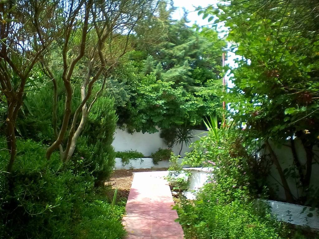 Irini Studios Plomari Exterior photo